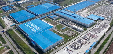 三站狂攬11冠，2018中國量產車性能大賽長安汽車完美收官